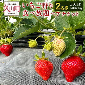 【ふるさと納税】いちご狩り 食べ放題ペアチケット 60分 大人1名+小学生1名 【2名様】 苺 イチゴ 高設栽培 体験 フルーツ狩り 果物狩り 利用券 チケット 九州 福岡 やすこうち農園 送料無料