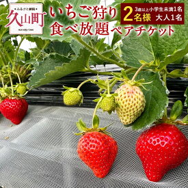 【ふるさと納税】いちご狩り 食べ放題ペアチケット 60分 大人1名+3歳以上小学生未満1名 【2名様】 苺 イチゴ 高設栽培 体験 フルーツ狩り 果物狩り 利用券 チケット 九州 福岡 やすこうち農園 送料無料12000円 1万2000円