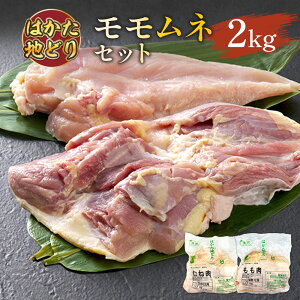 yӂ邳Ɣ[Łz͂n{lZbg2kg(1kg×2p) v1.8kg  n{ Yi  O  AO035