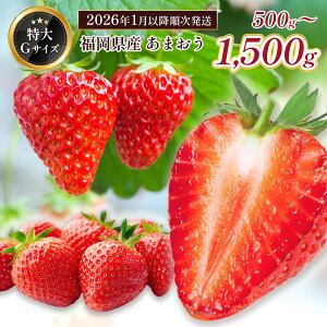 yӂ邳Ɣ[ŁzY ܂ 1000`1500g  XC[c X[W[ P[L Mtg j V[gP[L ^g  Gߌ BA006 BA007s\ 2026N1`2026N3