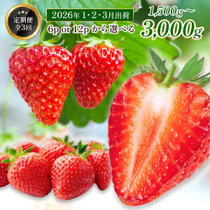 yӂ邳Ɣ[Łz֑S3 Y ܂ v1500g`3000g  XC[c X[W[ P[L Mtg j V[gP[L ^g  Gߌ s\ 2026N1菇@