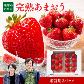 【ふるさと納税】 暖家のいちご　完熟あまおう　贈答用2パック 送料無料 あまおう いちご 名産品 果物 1月上旬以降順次発送 AB001