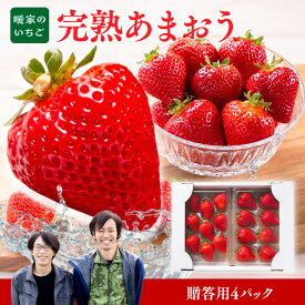 【ふるさと納税】 暖家のいちご　完熟あまおう　贈答用 4パック 送料無料 あまおう いちご 名産品 果物 1月上旬以降順次発送 AB002