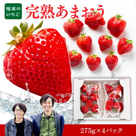 【ふるさと納税】 暖家のいちご 完熟あまおう 275g×4パック 送料無料 あまおう いちご 名産品 果物 2月上旬以降順次発送 AB003