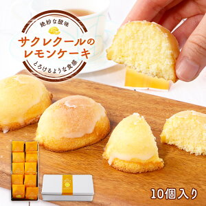 yӂ邳Ɣ[ŁzP[L Mtgbox 10  P[L BJ003