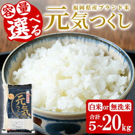 【ふるさと納税】＜容量選べる＞福岡県産ブランド米 元気つくし(5kg～20kg) 白米 無洗米 米 お米 おこめ ごはん げんきつくし ご飯 常温 福岡県産 ブランド米 常温 常温保存 5kg 10kg 20kg おにぎり おむすび お弁当 ライス【朝ごはん本舗】