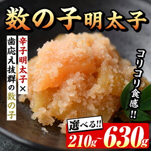 yӂ邳Ɣ[ŁzeʂIׂI̎qq(210`630g)  q ߂񂽂 ߂񂽂 CN   ̂ ̎q Zbg    ܂ ӎ Ⓚy}܁z