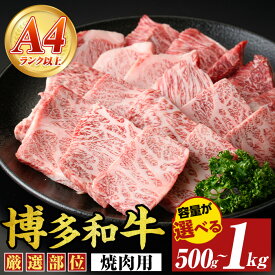 【ふるさと納税】≪容量選べる≫【A4〜A5】博多和牛焼肉用(計500g~1kg) 国産 九州産 福岡県産 牛肉 和牛 黒毛和牛 やきにく お肉【MEAT PLUS】