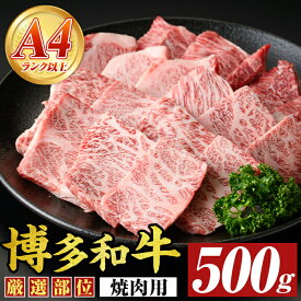 【ふるさと納税】【A4〜A5】博多和牛焼肉用(500g) 国産 九州産 福岡県産 牛肉 和牛 黒毛和牛 やきにく お肉【MEAT PLUS】