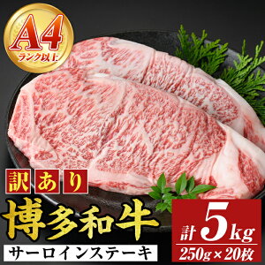 yӂ邳Ɣ[ŁzAyA4`A5zaT[CXe[L(v5kgE250g×20) Y BY Y  a јa Xe[L yMEAT PLUSz