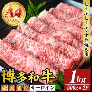 yӂ邳Ɣ[ŁzyIʁzaT[CԂԂĂp(v1kgE500g×2P)Y BY Y  a јa XLL ₫ yMEAT PLUSz