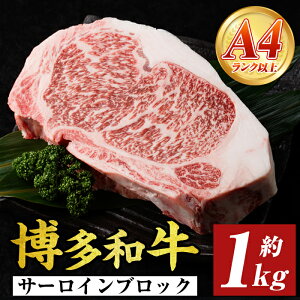 yӂ邳Ɣ[ŁzA4`A5aT[CubN(1kg) Y BY Y ubN  a јa Xe[L T[CXe[L  yMEAT PLUSz