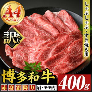 yӂ邳Ɣ[Łz󂠂聄yA4`A5zaԐg~肵ԂԂĂp(E) (400g) Y BY Y  a јa XLL ₫ yMEAT PLUSz