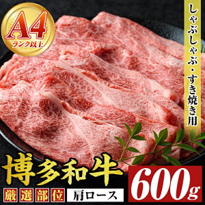 yӂ邳Ɣ[ŁzyA4`A5za[XԂԂĂp(600g)Y BY Y  a јa ₫ XLL yMEAT PLUSz
