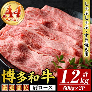 yӂ邳Ɣ[ŁzyA4`A5za[XԂԂĂp(v1.2kgE600g×2P)Y BY Y  a јa ₫ XLL yMEAT PLUSz