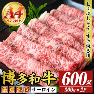 yӂ邳Ɣ[ŁzyIʁzyA4`A5zaT[CԂԂĂp(600g) Y BY Y  a јa XLL ₫ yMEAT PLUSz