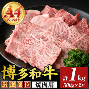 yӂ邳Ɣ[ŁzyA4`A5zaēp(v1kgE500g×2P) Y BY Y  a јa ₫ɂ yMEAT PLUSz