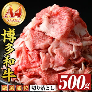 yӂ邳Ɣ[Łza؂藎Ƃ(500g) Y BY Y  a јa yMEAT PLUSz