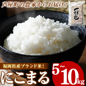 yӂ邳Ɣ[Łzߘa7NYEeʑIׂ╟Y ɂ܂ (v5~10kg)     ͂ ɂ܂  퉷 Y uh 퉷 퉷ۑ