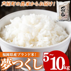 yӂ邳Ɣ[Łzߘa7NYEeʑIׂ2025N12{ȍ~╟Y  (v5~10kg)     ͂ ߂   퉷 Y uh