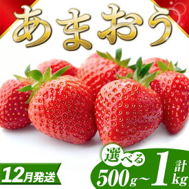 【ふるさと納税】＜先行予約受付中！2025年12月以降順次発送予定＞ ≪容量選べる≫ 福岡県産 あまおう (計500g～1kg) いちご イチゴ 苺 ストロベリー 果物 フルーツ おやつ デザート スイーツ 福岡県 小分け アマオウ 12月発送 期間限定 数量限定 冷蔵【エフビーネット】