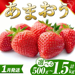yӂ邳Ɣ[Łzs\tI2026N1{ȍ~\聄 eʑIׂ Y ܂ (v500g`1.5kg)  C`S  Xgx[ ʕ t[c  fU[g XC