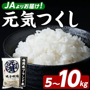 yӂ邳Ɣ[ŁzeʂIׂIuh C (5`10kg)   R   񂫂  ͂  Y uh 퉷 퉷ۑ ɂ ނ