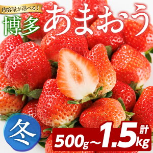 yӂ邳Ɣ[ŁzeʂIׂI ܂s~t (500g`1.5kg)  C`S  Xgx[ ʕ t[c  fU[g ① A}IE { y_Yق̗z