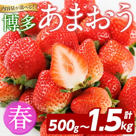 【ふるさと納税】＜先行予約受付中！2026年2月上旬以降順次発送予定＞＜内容量が選べる！＞博多 あまおう《春》 (計500g～1.5kg) いちご イチゴ 苺 ストロベリー 果物 フルーツ おやつ デザート 冷蔵 アマオウ 旬 小分け【農産物直売所ほたるの里】