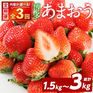 �y�ӂ邳�Ɣ[�Łz����s�\���t���I2026�N2����{�ȍ~���������\�聄�����e�ʂ��I�ׂ�I����ցE�S3��(2���E3���E4��)������ ���܂��� (���v1.5kg�`3kg) ������ �C�`�S � �X�g���x���[ �ʕ� 