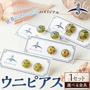 yӂ邳Ɣ[ŁzIׂ遄CANZT[ EjsAX (1Zbg) ANZT[ sAX nhCh   CO Mtg v[g 蕨 _O  Ejk 1_ IW