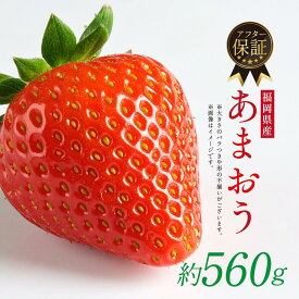 【ふるさと納税】＜数量限定！先行予約受付中！2026年1月上旬より順次発送予定＞福岡県産 あまおう (計約560g・約280g×2P) いちご イチゴ 苺 ストロベリー 果物 フルーツ おやつ デザート 福岡県 エコファーマー 冷蔵【ONE GO】