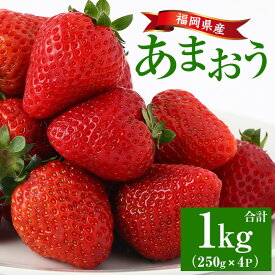 【ふるさと納税】＜先行予約受付中！2026年2月上旬より順次発送予定＞福岡県産 あまおう (計1kg・250g×4P) いちご イチゴ 苺 ストロベリー 果物 フルーツ おやつ デザート 1000g 4パック 冷蔵【錦屋商事】