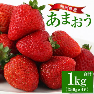 yӂ邳Ɣ[Łzs\tI2026N2{菇\聄Y ܂ (v1kgE250g×4P)  C`S  Xgx[ ʕ t[c  fU[g 1000g 4pbN ①y
