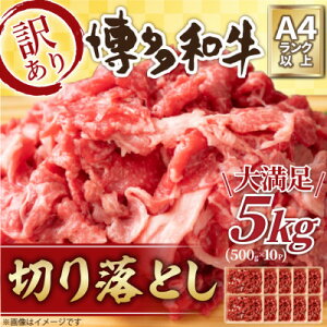 yӂ邳Ɣ[ŁzA!yA4`A5za؂藎Ƃ@5kg(500g×10pbN)()yzsnFzy1371120z
