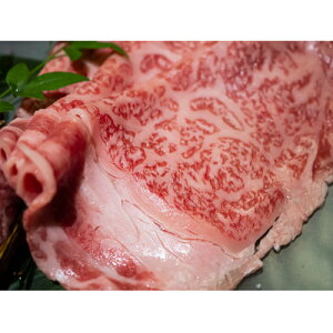 yӂ邳Ɣ[ŁzyA4`A5zaT[CԂԂĂp@600g(300g×2p)()yzsnFzy1474995z