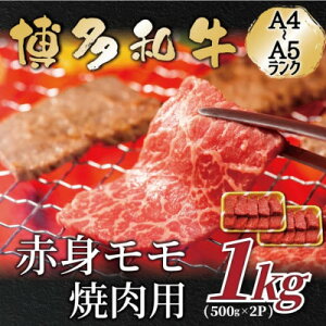 yӂ邳Ɣ[ŁzyA4`A5zaԐgēp@1kg(500g×2p)()yzsnFzy1559701z