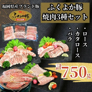 yӂ邳Ɣ[Łzӂ悩؏ē3Zbg750g([XEJ^[XEoe250g)_[X [X o  [X [X o   u^ Ă ؏` Ⓚ  