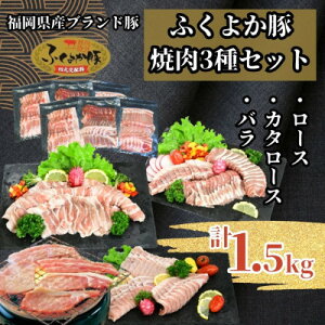 yӂ邳Ɣ[Łzӂ悩؏ē3Zbg1.5kg([XEJ^[XEoe500g)_[X [X o [X [X o  u^ Ԃ IĂ ؘ Ⓚ   