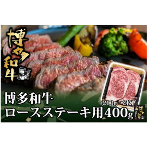 yӂ邳Ɣ[Łza [X Xe[Lp 400g(200g×2)()yzsnFzy1602070z