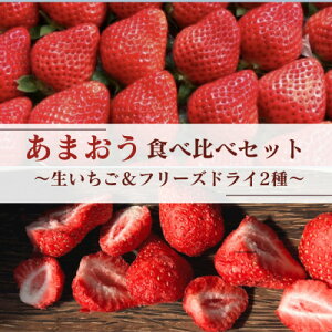 【ふるさと納税】あまおう食べ比べセット【生いちご&フリーズドライ】(水巻町)【配送不可地域:離島】【1641669】