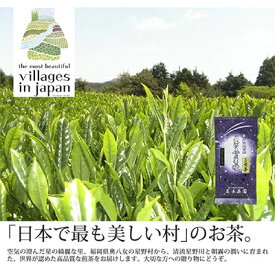 【ふるさと納税】【毎月定期便】奥八女星野村 深蒸し高級煎茶(深蒸し茶)100g×1袋(水巻町)全6回【4011474】