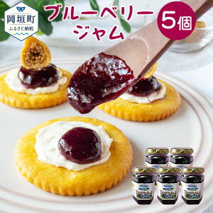 yӂ邳Ɣ[Łz_Y u[x[̃W 5 Zbg v750g 150g×5 y2021N7{甭z u[x[W u[x[ W  yVX[p[SALE 9J