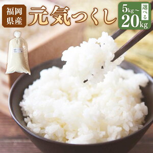 yӂ邳Ɣ[ŁzIׂeʁE s\ yߘa7NYzuhāuCv5kg/10kg/15kg/20kg R      V  _  y2025N10