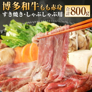 yӂ邳Ɣ[Łza Ԑg v800g (400g×2pbN) Ă Ԃԗp a uh     Ԑg XCX  Ⓚ  _ 075-1676 yVX