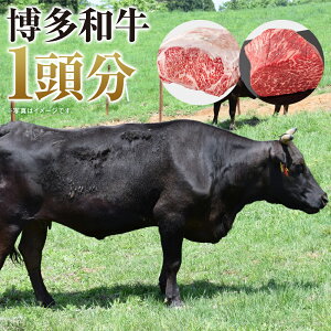 yӂ邳Ɣ[Łza ܂܂1 350`450kg ۂ Iׂ镔  a Ⓚ BY Y _ 