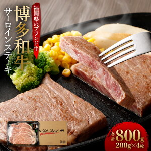 yӂ邳Ɣ[Łza T[C Xe[L v800g (200g×4) 󏭕 Y uh a  ~苍  Y BY Y Ⓚ  yVX[p[SALE 9J