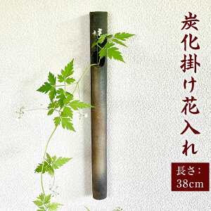 yӂ邳Ɣ[ŁzY|ԓ (38cm a3.5cm)   |ԓ ԓ ԕr   _ 