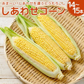 【ふるさと納税】 しあわせコーン 約4kg 14～15本 スイートコーン とうもろこし トウモロコシ コーン 野菜 旬 春 夏 コーンスープ 【2024年7月上旬～下旬発送予定】 冷蔵 福岡県 岡垣町 送料無料