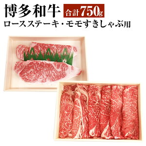 yӂ邳Ɣ[Łza [XXe[L 400g ԗp Ԑg 350g Xe[L Ă Ԃ   a Ⓚ  _ 075-1676 yVX[p[SALE 9J